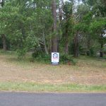 13 Halcyon St, Lamb Island  QLD  4184