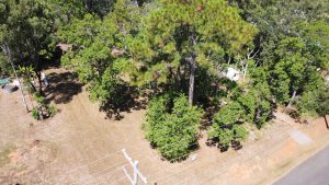 russellisland_86_485-Lamb-Island-2026-02-16-015756-4