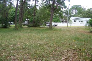 russellisland_86_485-Lamb-Island-2026-02-16-015756-6