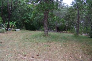 russellisland_86_485-Lamb-Island-2026-02-16-015756-7