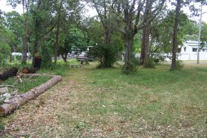 russellisland_86_485-Lamb-Island-2026-02-16-015756-8