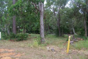 russellisland_86_485-Lamb-Island-2026-02-16-015756-9