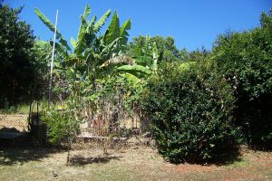 russellisland_86_487-Lamb-Island-2026-02-16-015651-1