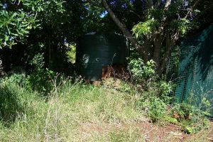 russellisland_86_487-Lamb-Island-2026-02-16-015651-10