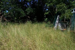 russellisland_86_487-Lamb-Island-2026-02-16-015651-7