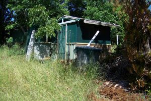 russellisland_86_487-Lamb-Island-2026-02-16-015651-8