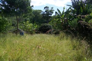 russellisland_86_487-Lamb-Island-2026-02-16-015651-9