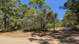 russellisland_86_492-Russell-Island-2026-02-16-052120-1