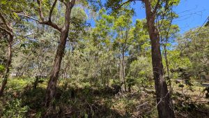 russellisland_86_492-Russell-Island-2026-02-16-052120-2