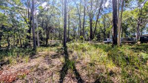 russellisland_86_495-Russell-Island-2026-02-20-230843-1