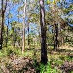 2 Canopy Cres, Russell Island  QLD  4184