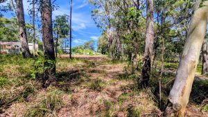 russellisland_86_495-Russell-Island-2026-02-20-230843-2