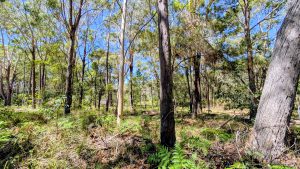 russellisland_86_495-Russell-Island-2026-02-20-230843