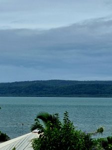 tbarclay_86_591-Macleay-Island-2026-01-17-005739-8