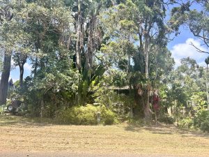 tbarclay_86_611-Macleay-Island-2026-02-03-060245-1