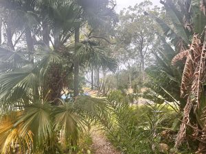 tbarclay_86_611-Macleay-Island-2026-02-03-060245-4