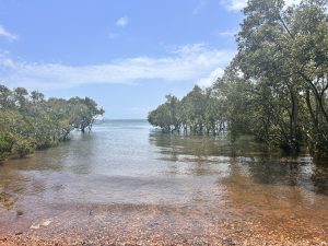 tbarclay_86_611-Macleay-Island-2026-02-03-060245-6