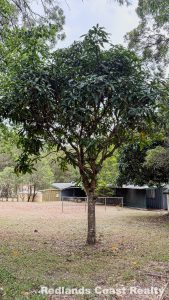 tbarclay_86_621-Lamb-Island-2026-02-14-035443-5