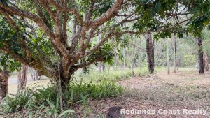 tbarclay_86_621-Lamb-Island-2026-02-14-035443-6