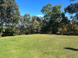 tbarclay_86_622-Macleay-Island-2026-02-12-055538-1