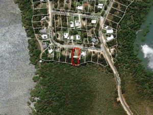 tbarclay_86_622-Macleay-Island-2026-02-12-055538-3