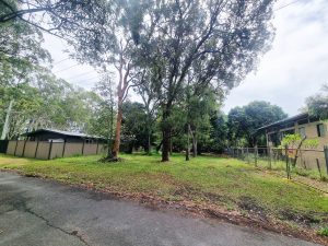 tbarclay_86_626-Macleay-Island-2026-02-18-064720-1