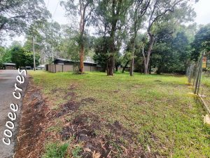 tbarclay_86_626-Macleay-Island-2026-02-18-064720-3