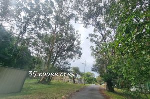 tbarclay_86_626-Macleay-Island-2026-02-18-064720-5