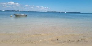 tbarclay_86_626-Macleay-Island-2026-02-18-064720-6