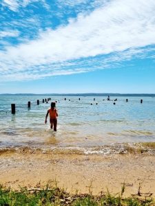 tbarclay_86_626-Macleay-Island-2026-02-18-064720-7