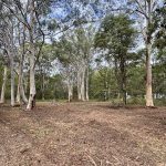 49 Canaipa Ridge Road, Russell Island  QLD  4184