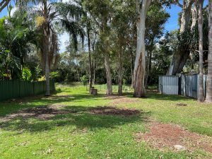 russellisland_86_524-Karragarra-Island-2025-11-24-050317-5