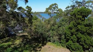 tbarclay_86_466-Macleay-Island-2025-10-03-090359-2