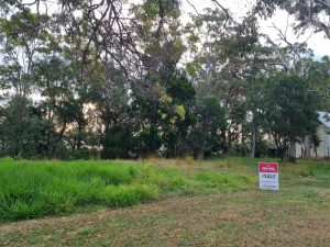 tbarclay_86_466-Macleay-Island-2025-10-03-090359-3