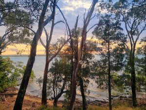 tbarclay_86_466-Macleay-Island-2025-10-03-090359