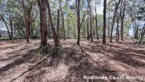 tbarclay_86_641-Russell-Island-2026-03-02-023436-5