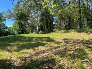 russellisland_86_357-Russell-Island-2025-11-03-235313-14
