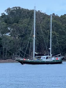 russellisland_86_519-Russell-Island-2026-04-15-034355-2