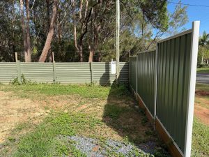 russellisland_86_519-Russell-Island-2026-04-15-034355-5