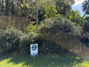 russellisland_86_536-Russell-Island-2026-04-15-193704-1