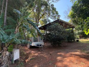 russellisland_86_536-Russell-Island-2026-04-15-193704-4