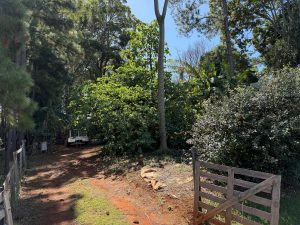 russellisland_86_536-Russell-Island-2026-04-15-193704-6