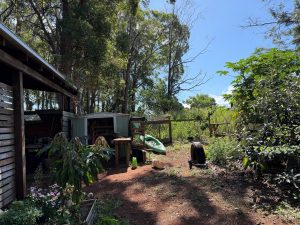 russellisland_86_536-Russell-Island-2026-04-15-193704-7