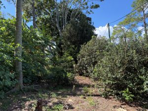 russellisland_86_536-Russell-Island-2026-04-15-193704-8