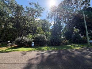 russellisland_86_536-Russell-Island-2026-04-15-193704-9