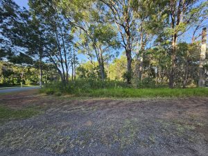 russellisland_86_541-Russell-Island-2026-04-19-110058-1