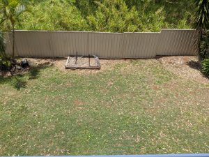 russellisland_86_558-Russell-Island-2024-07-26-041657-6