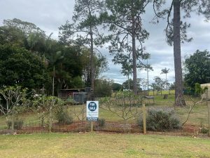 russellisland_86_70-Russell-Island-2023-11-03-004901-1