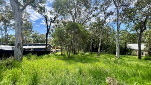 tbarclay_86_538-Macleay-Island-2025-11-30-235319-3