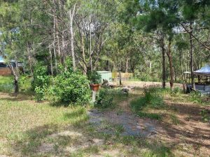 tbarclay_86_639-Macleay-Island-2026-02-26-105228-4
